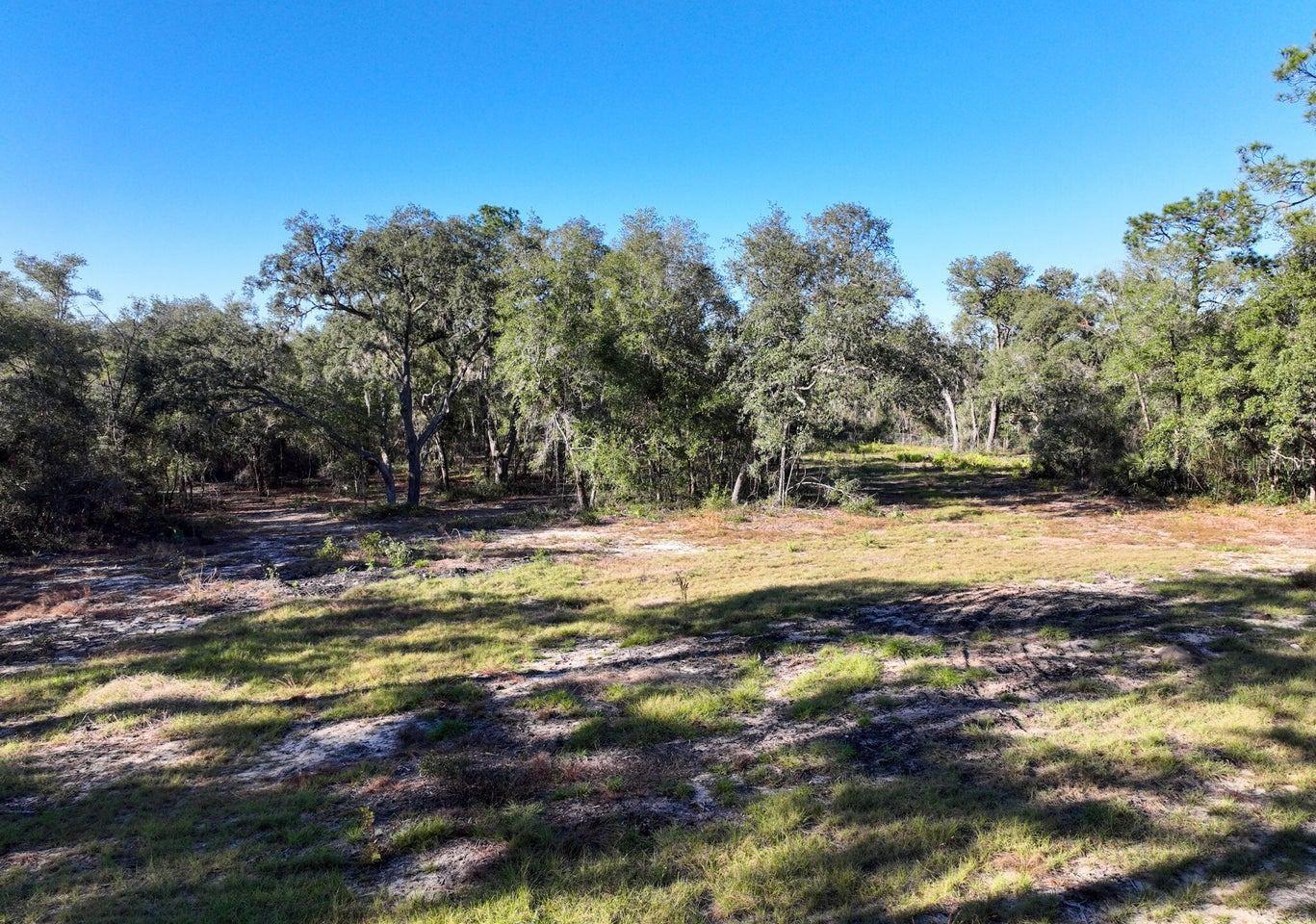 1551 STATE ROAD 100, MELROSE, FL, 32666
