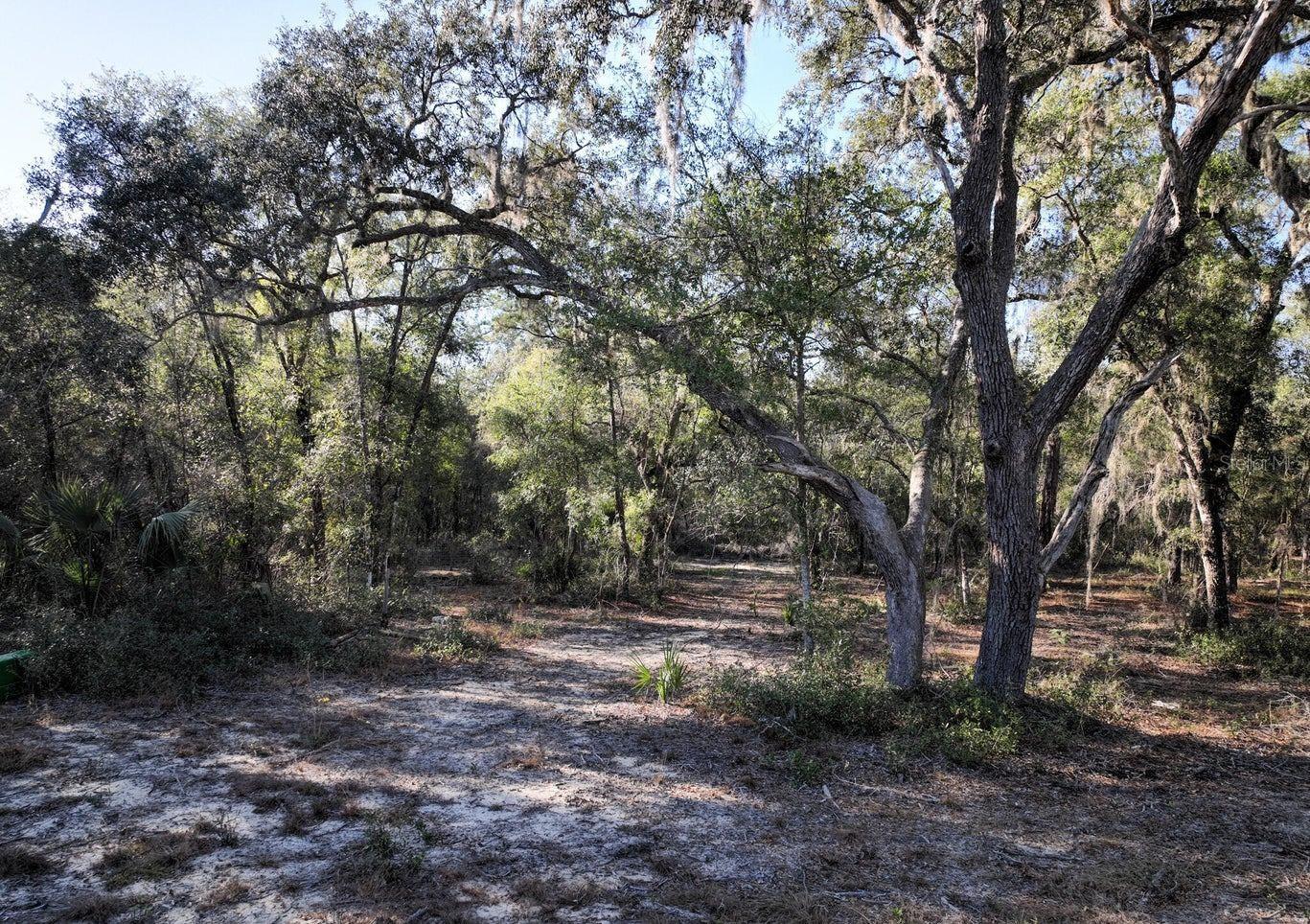 1551 STATE ROAD 100, MELROSE, FL, 32666