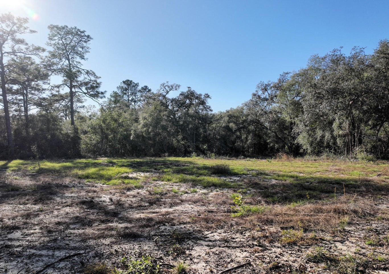 1551 STATE ROAD 100, MELROSE, FL, 32666