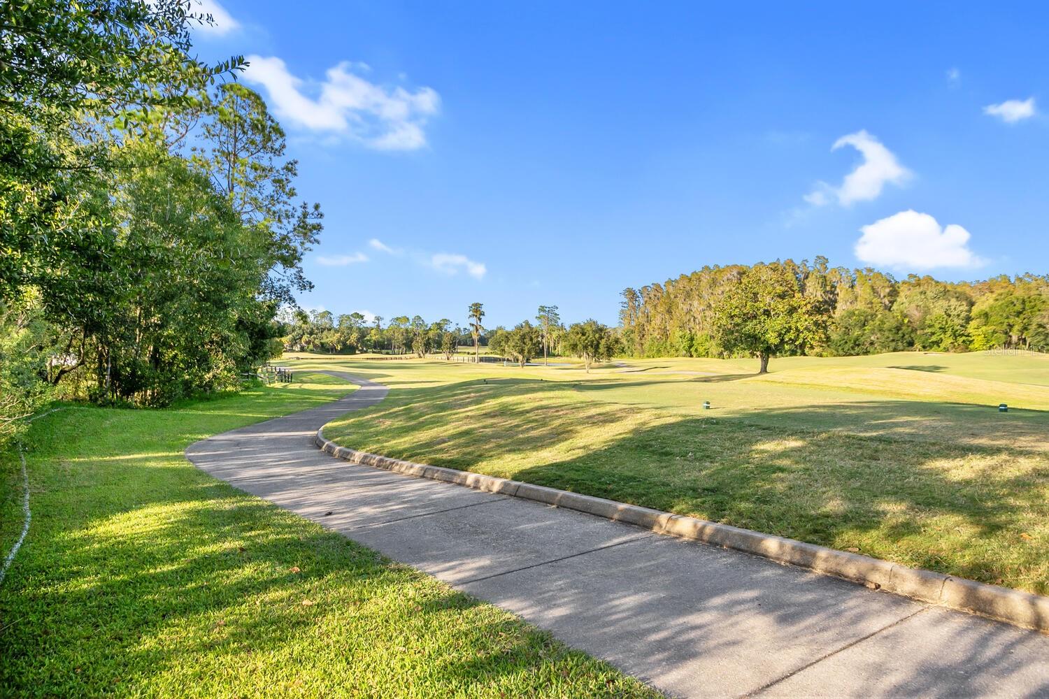 5030 PINELAKE RD, WESLEY CHAPEL, FL, 33543