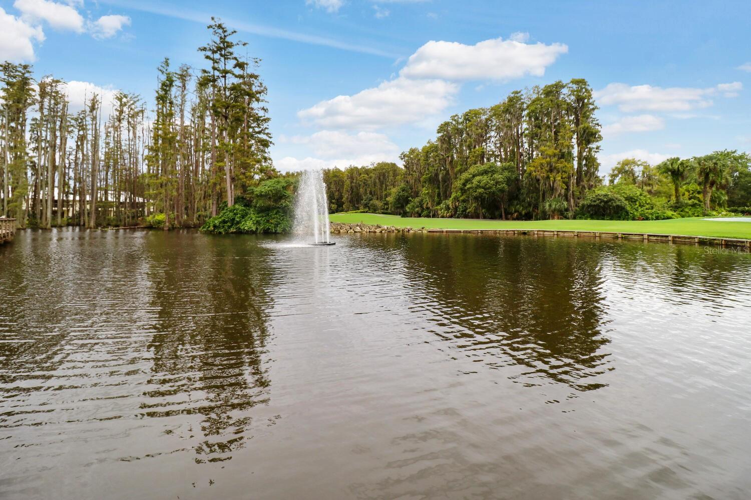 5030 PINELAKE RD, WESLEY CHAPEL, FL, 33543