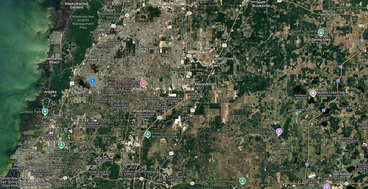 229 HAGUE CT, SPRING HILL, FL, 34606