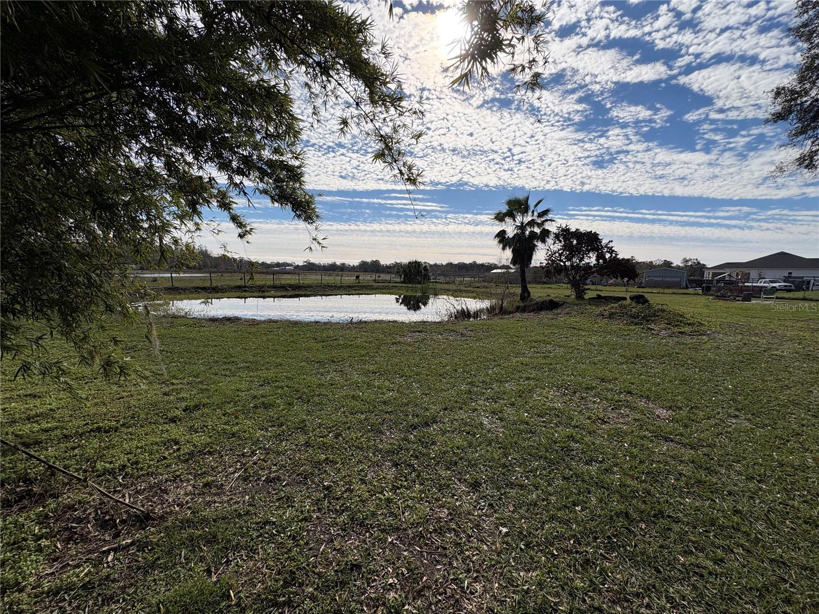 8715 PINE TREE DR, LAKELAND, FL, 33809