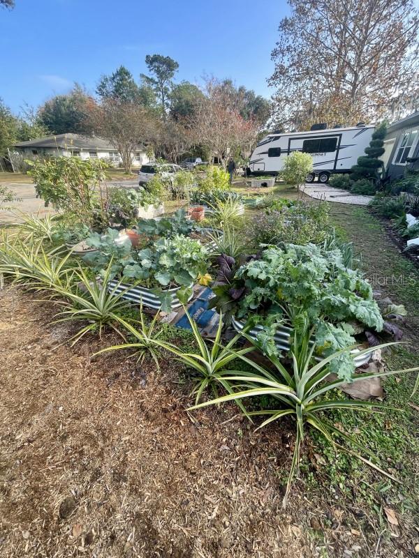 4711 NW 29TH AVE, GAINESVILLE, FL, 32606