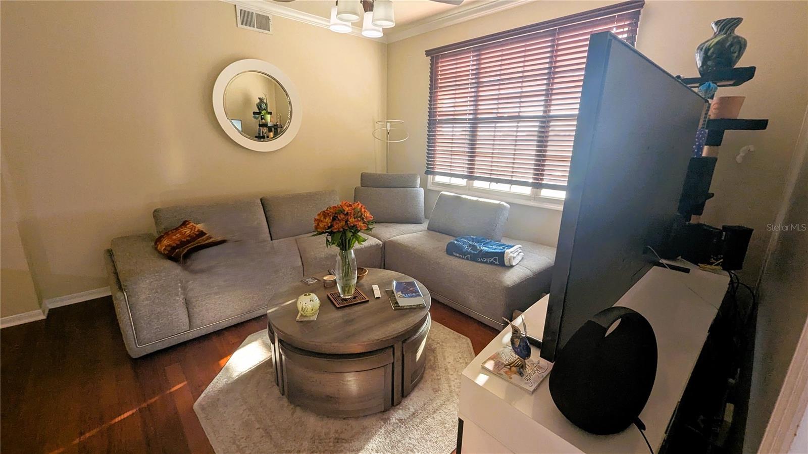 501 KNIGHTS RUN AVE #2205, TAMPA, FL, 33602