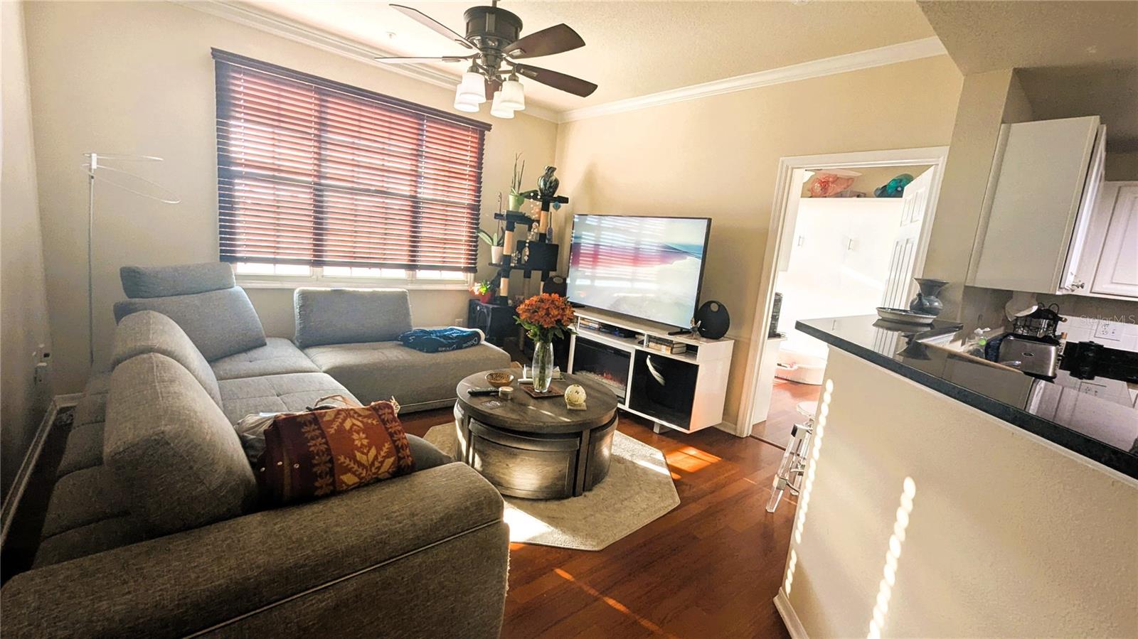 501 KNIGHTS RUN AVE #2205, TAMPA, FL, 33602