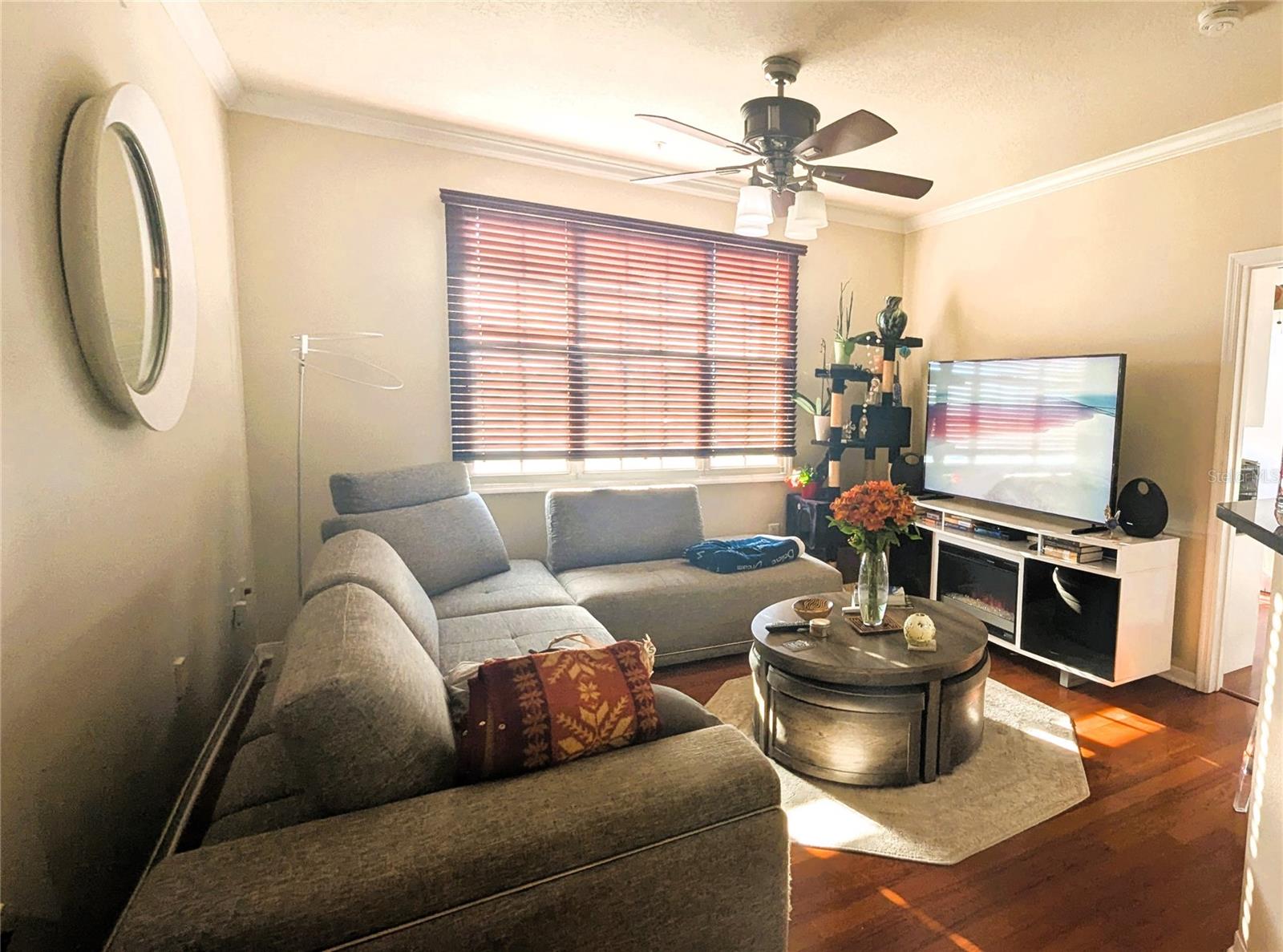 501 KNIGHTS RUN AVE #2205, TAMPA, FL, 33602