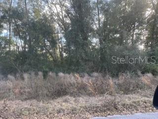 0 SE 134TH PL, BELLEVIEW, FL, 34420