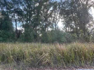 0 SE 134TH PL, BELLEVIEW, FL, 34420