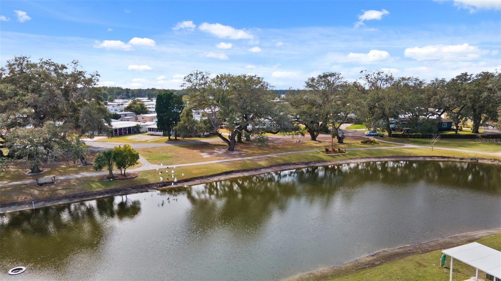 37309 BEVERLY AVE, ZEPHYRHILLS, FL, 33542