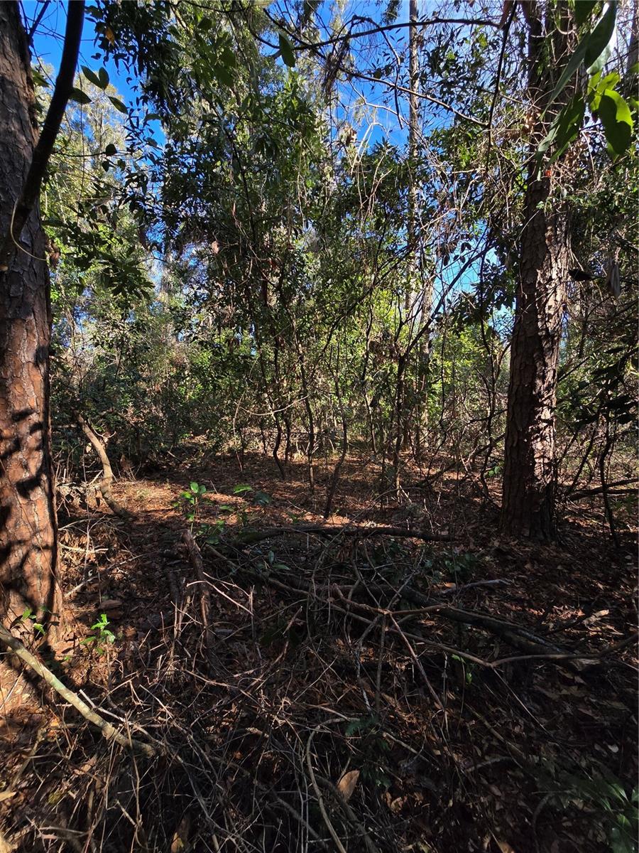 TBD SW ALABAMA GLN, FORT WHITE, FL, 32038