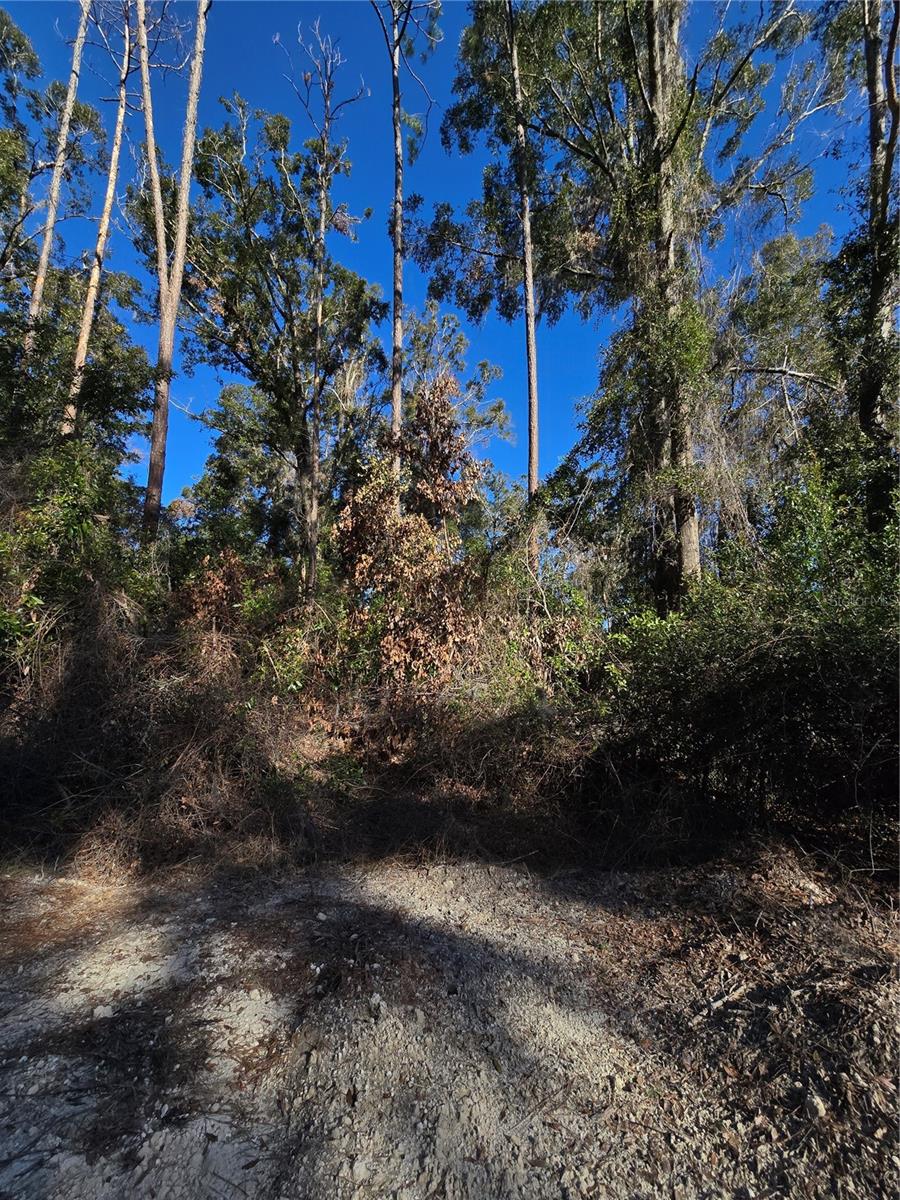 TBD SW ALABAMA GLN, FORT WHITE, FL, 32038