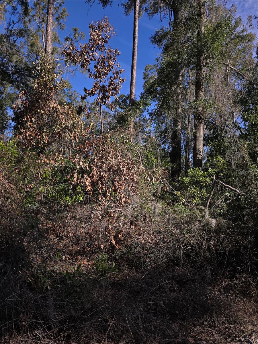 TBD SW ALABAMA GLN, FORT WHITE, FL, 32038