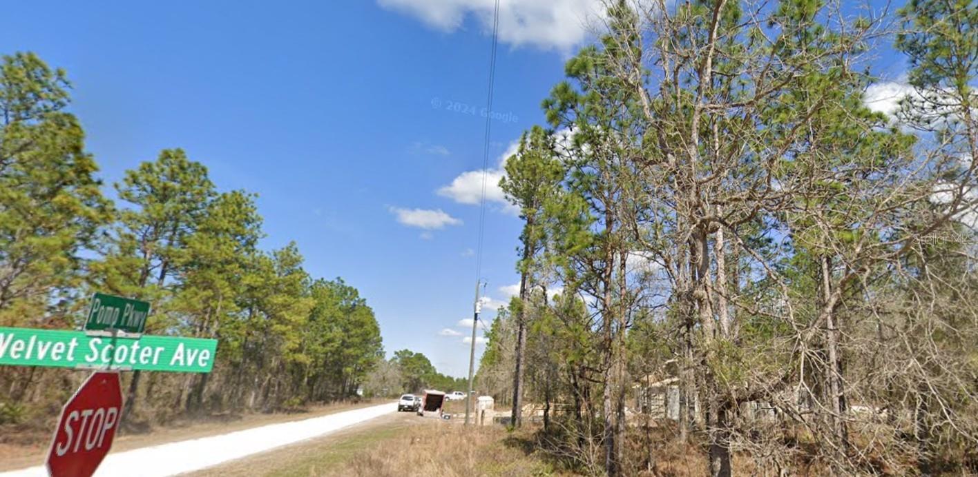 13078 VELVET SCOTER AVE, BROOKSVILLE, FL, 34614