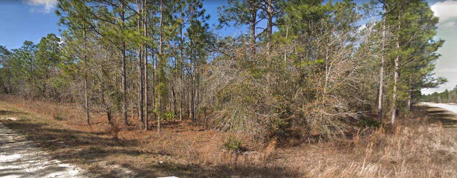13078 VELVET SCOTER AVE, BROOKSVILLE, FL, 34614