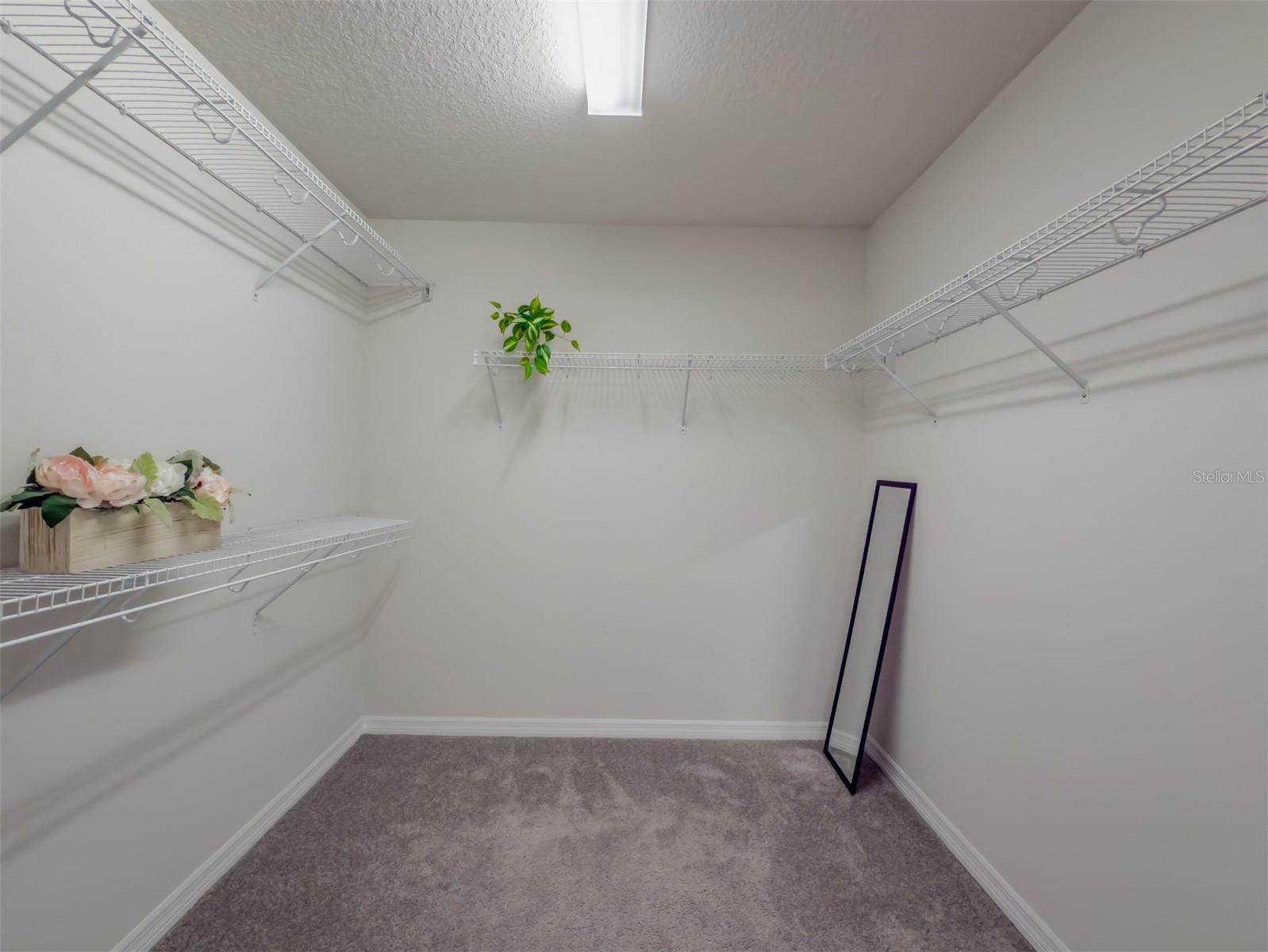 28818 ORANGE BERRY DR, WESLEY CHAPEL, FL, 33543