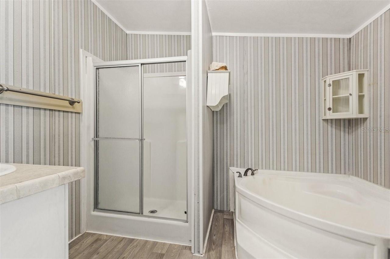 3105 BEAVER CREEK DR, WESLEY CHAPEL, FL, 33543