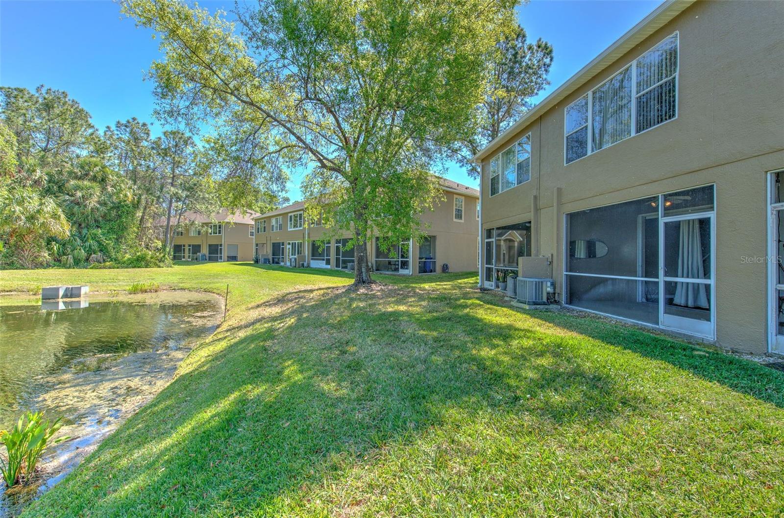 18827 DUQUESNE DR, TAMPA, FL, 33647