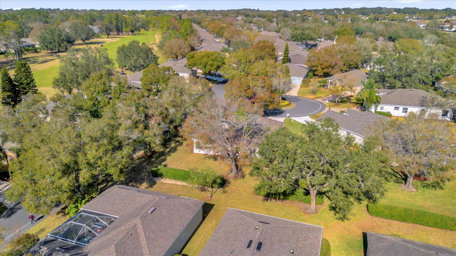 4213 WHITEMOOR CT, CLERMONT, FL, 34711