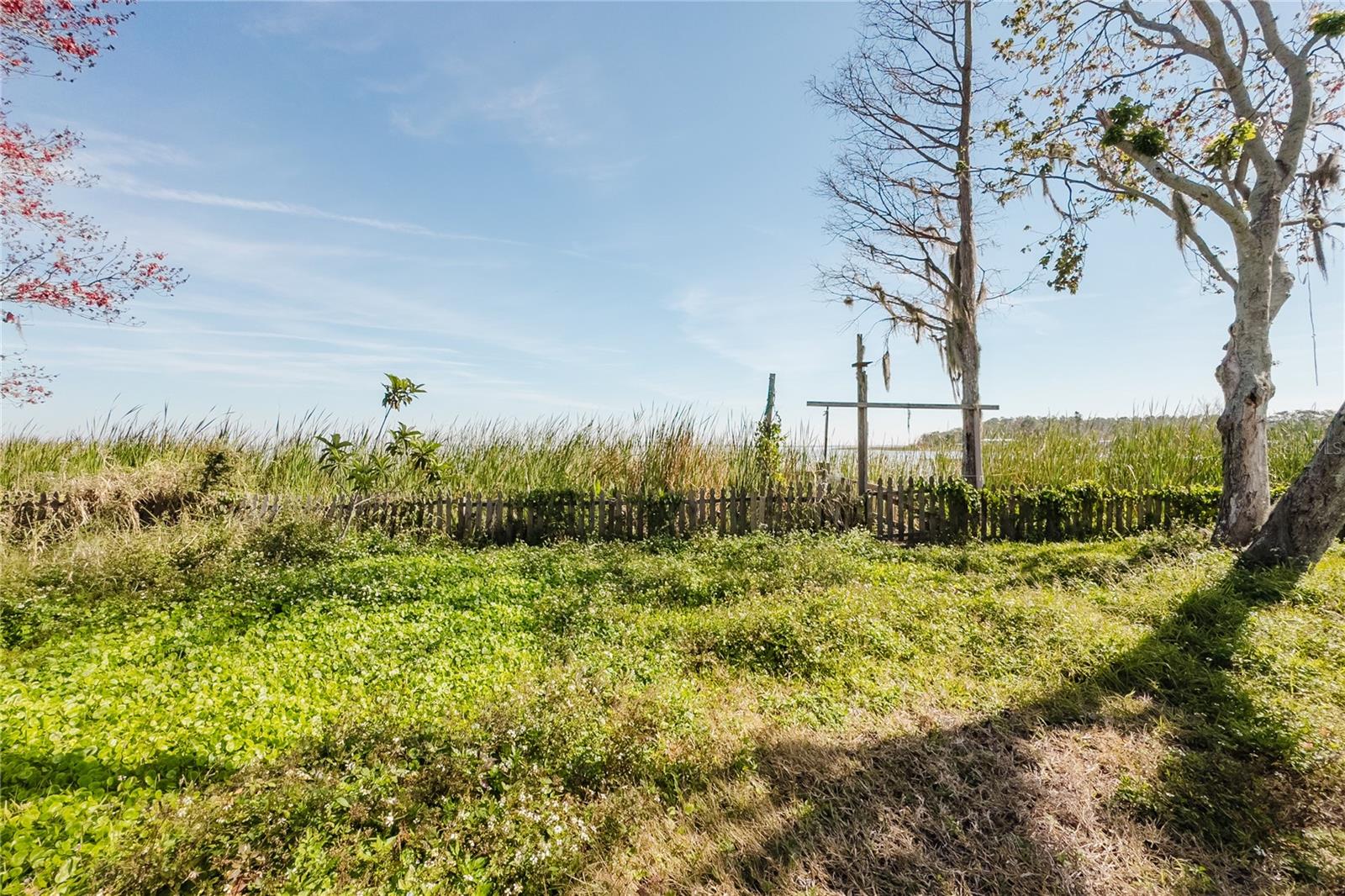 17420 PALM DR, MONTVERDE, FL, 34756