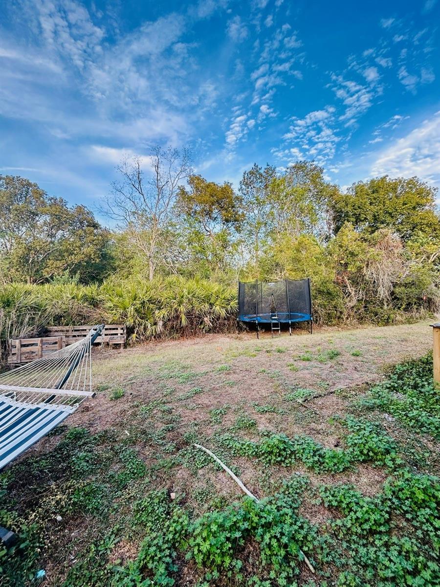 5448 TREIG LN, WESLEY CHAPEL, FL, 33545