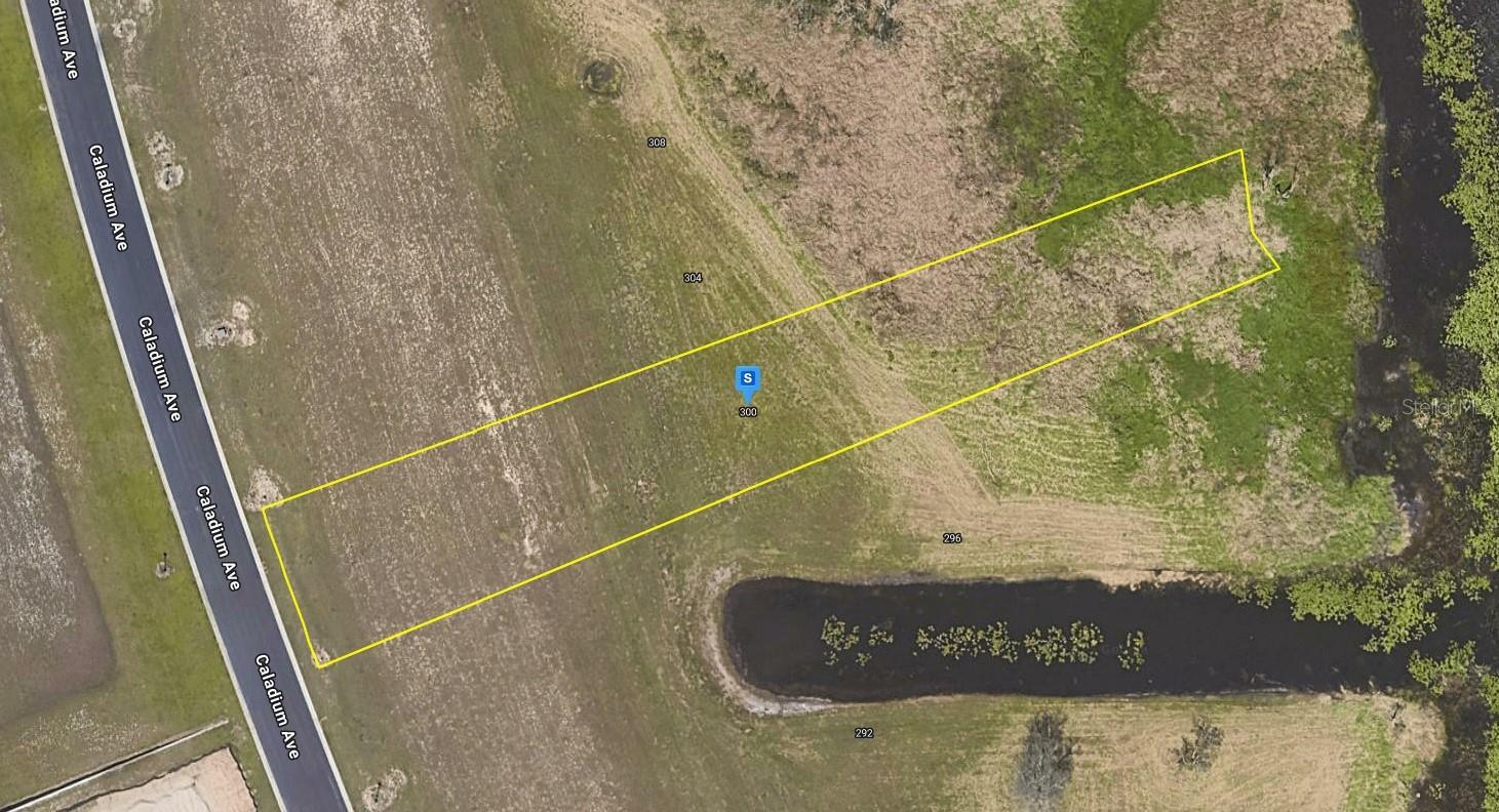 300 CALADIUM AVE, LAKE ALFRED, FL, 33850