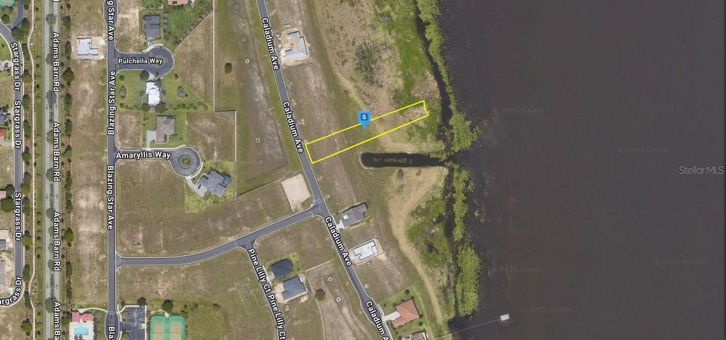 300 CALADIUM AVE, LAKE ALFRED, FL, 33850
