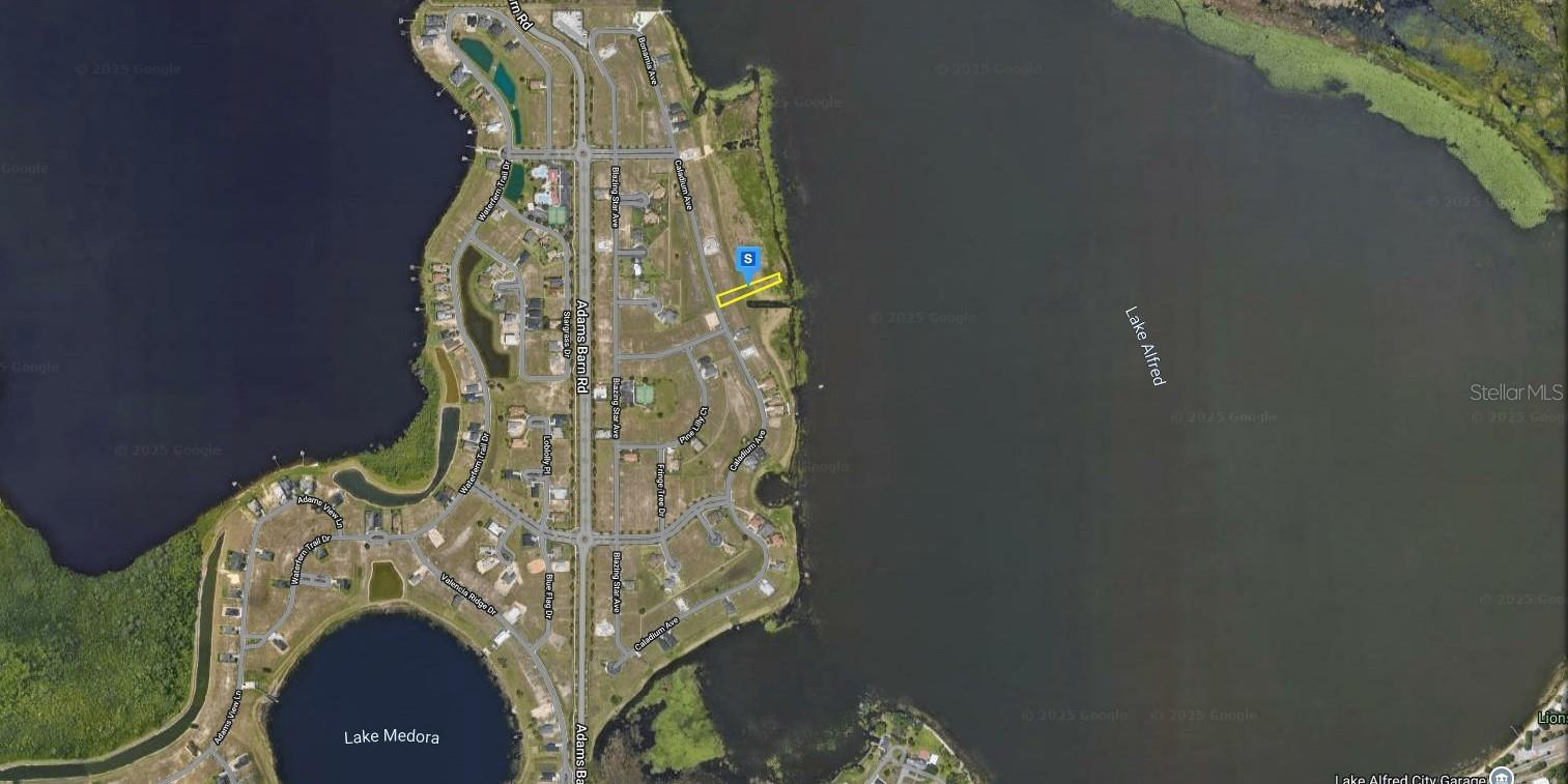 300 CALADIUM AVE, LAKE ALFRED, FL, 33850
