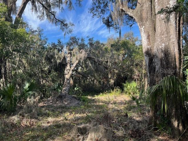 748 N RIDGEWOOD AVE, DELAND, FL, 32720