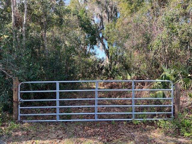 748 N RIDGEWOOD AVE, DELAND, FL, 32720