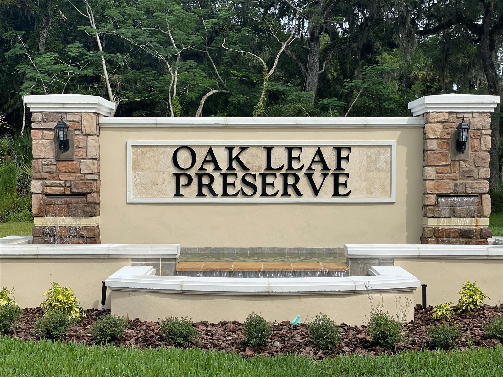 2218 LAKE PRESERVE CIR, NEW SMYRNA BEACH, FL, 32168