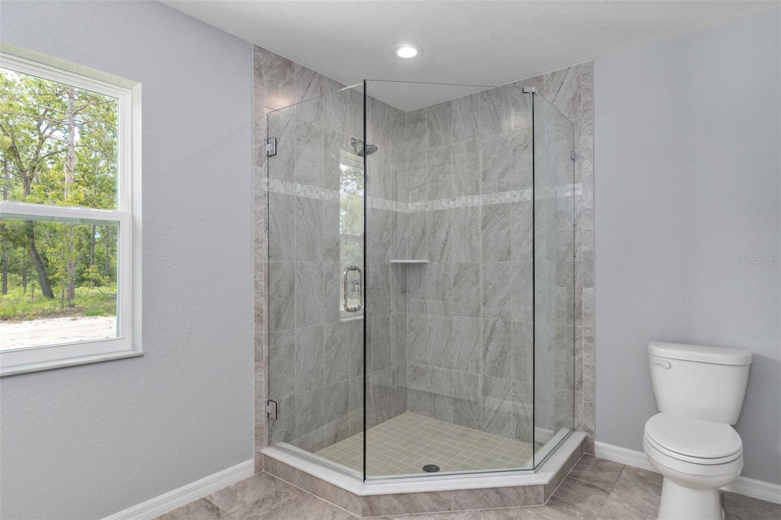 6850 N PAVILION LOOP, CITRUS SPRINGS, FL, 34433