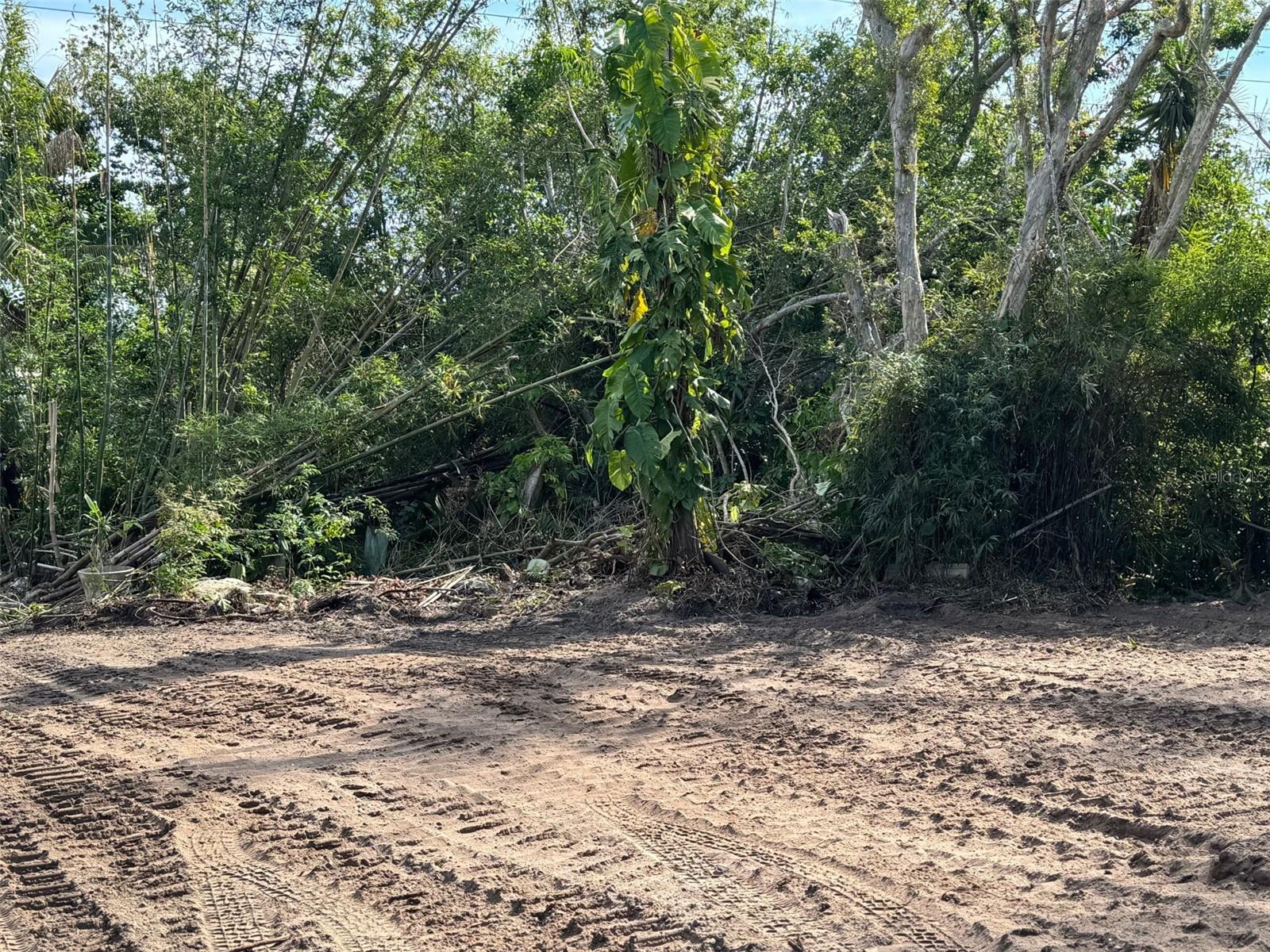 14 OLD VENICE RD, OSPREY, FL, 34229
