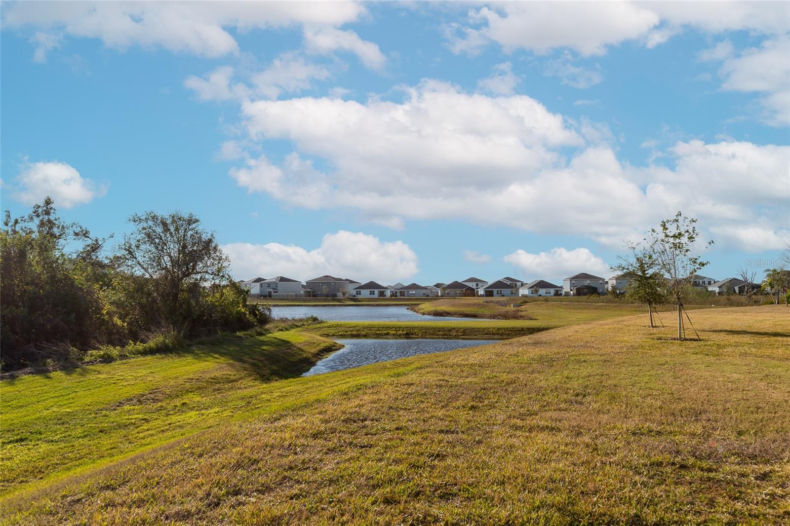 17633 CANTARINA CV, BRADENTON, FL, 34211