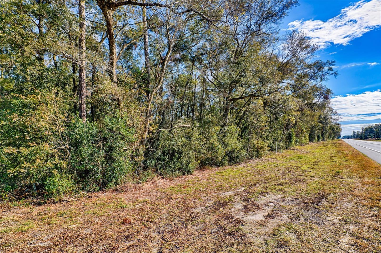 300 S US HIGHWAY 129, BELL, FL, 32619