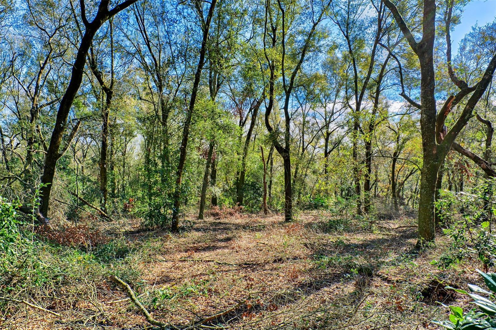 300 S US HIGHWAY 129, BELL, FL, 32619