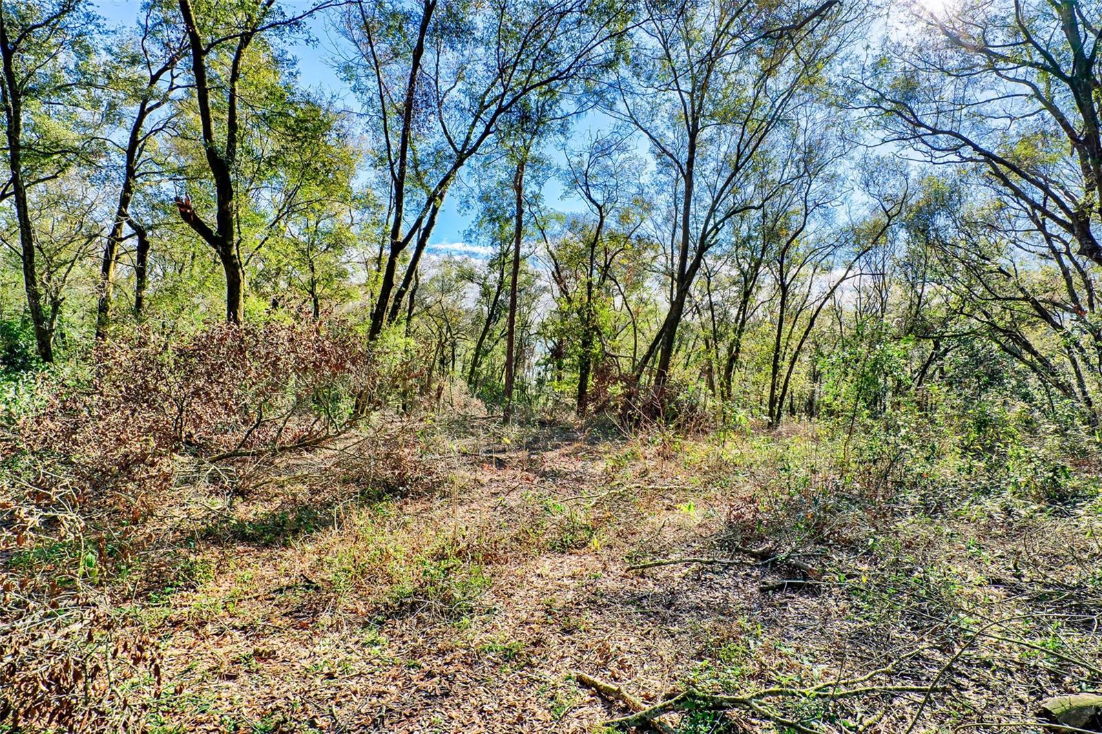 300 S US HIGHWAY 129, BELL, FL, 32619