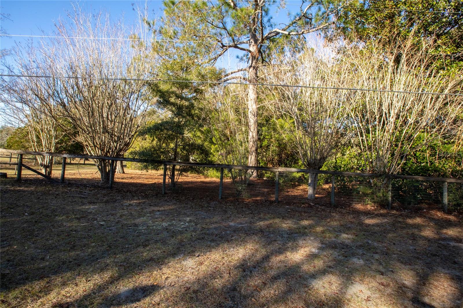 9210 SW 129TH ST, ARCHER, FL, 32618