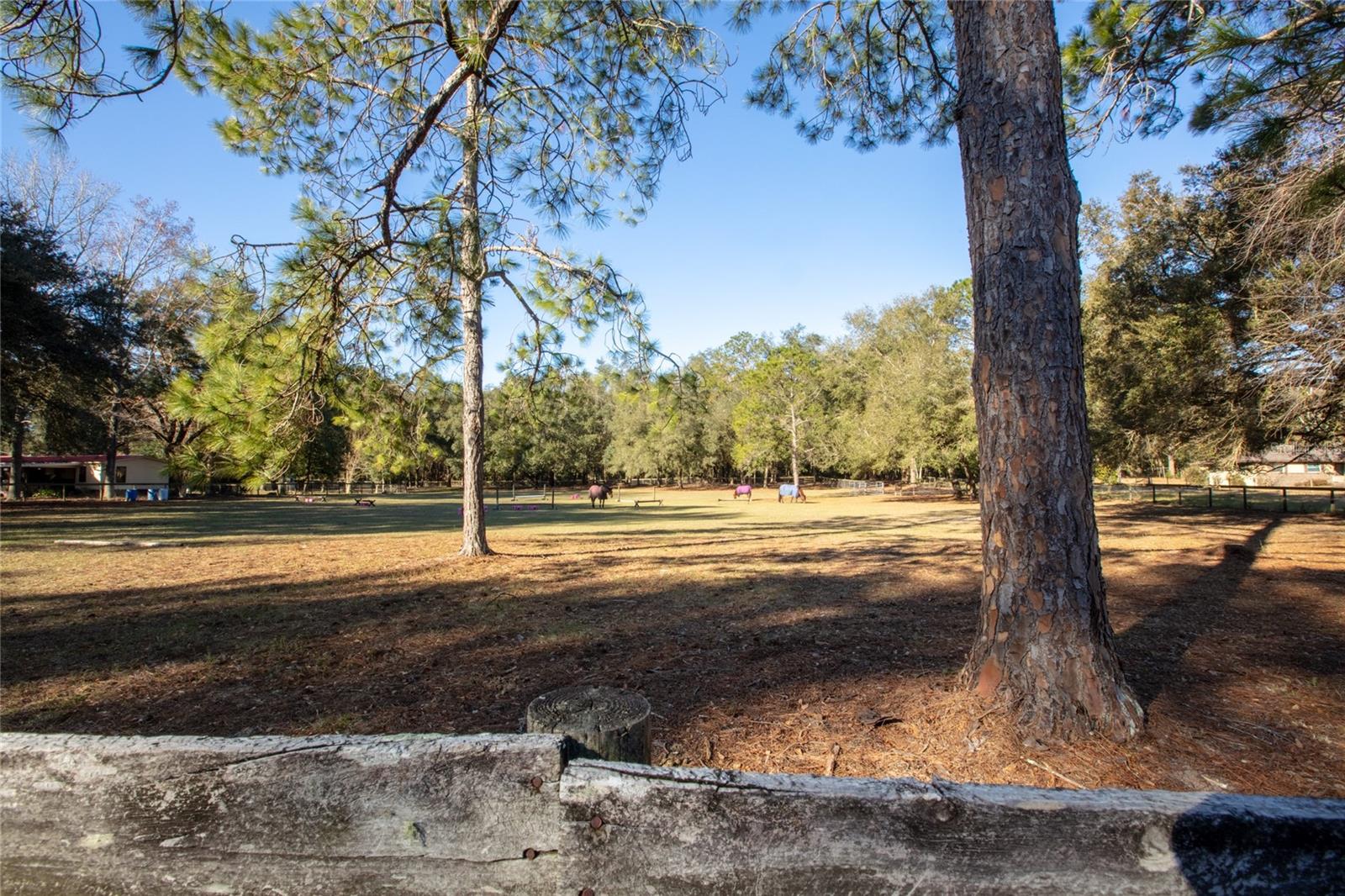 9210 SW 129TH ST, ARCHER, FL, 32618