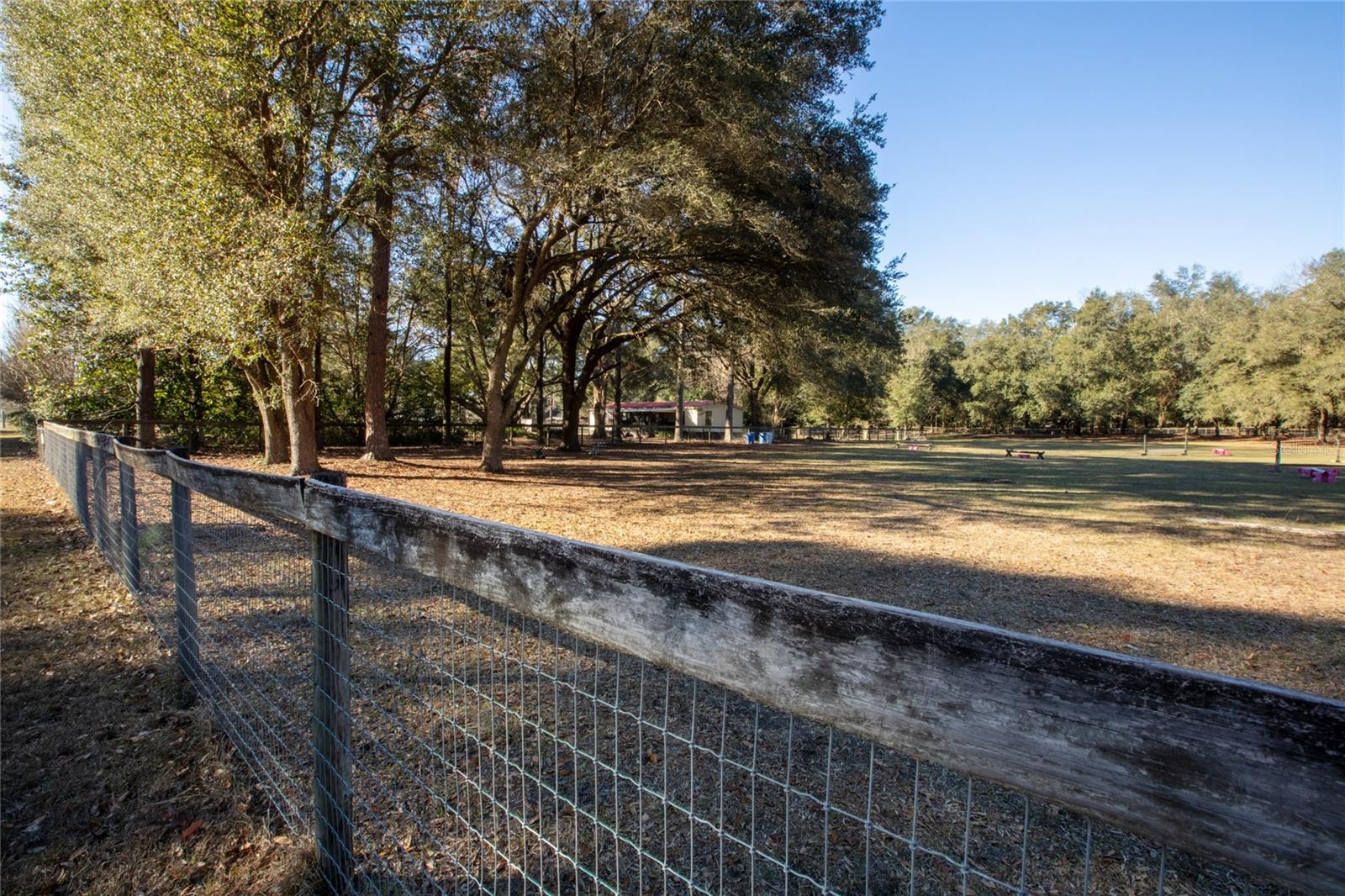 9210 SW 129TH ST, ARCHER, FL, 32618