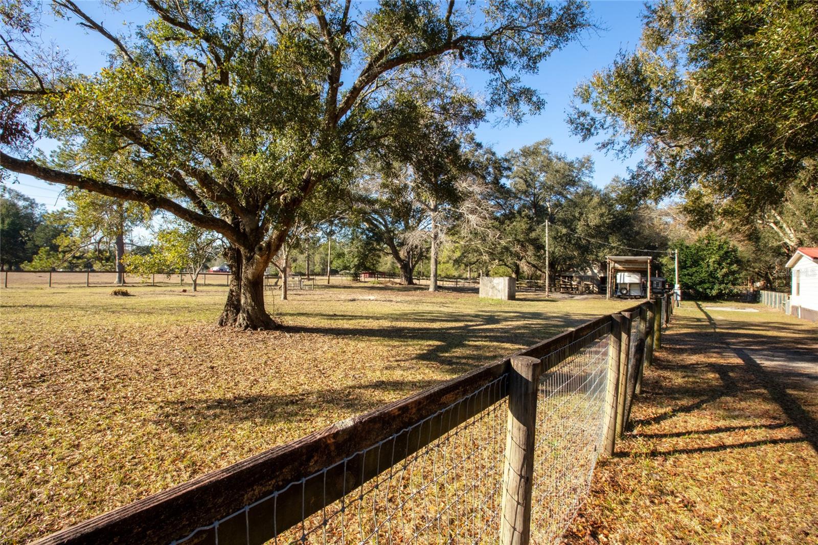 9210 SW 129TH ST, ARCHER, FL, 32618