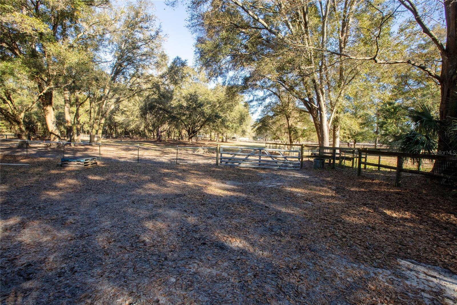 9210 SW 129TH ST, ARCHER, FL, 32618