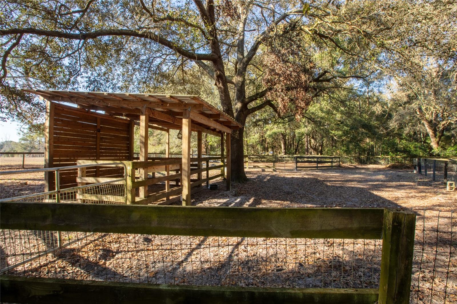 9210 SW 129TH ST, ARCHER, FL, 32618