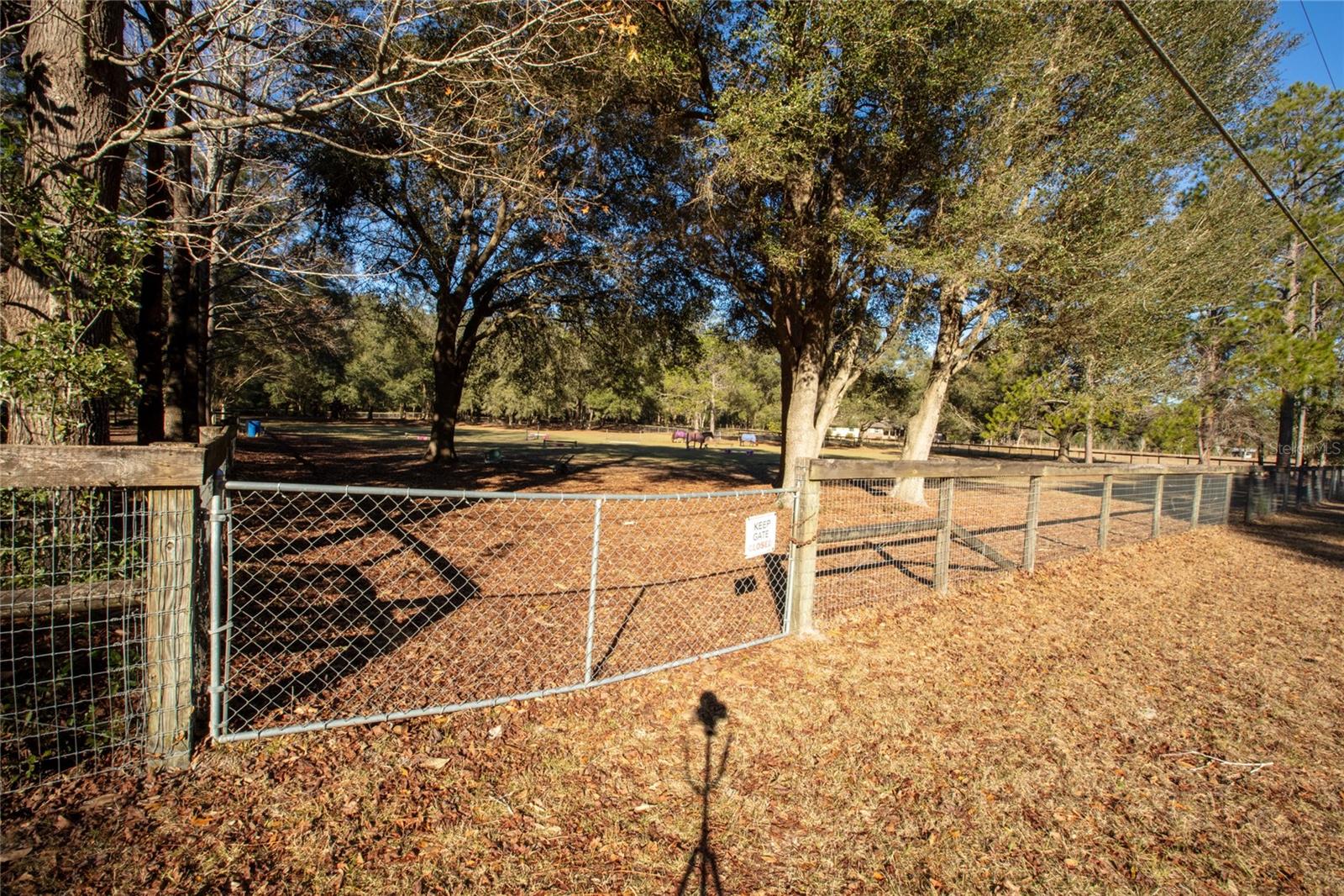 9210 SW 129TH ST, ARCHER, FL, 32618