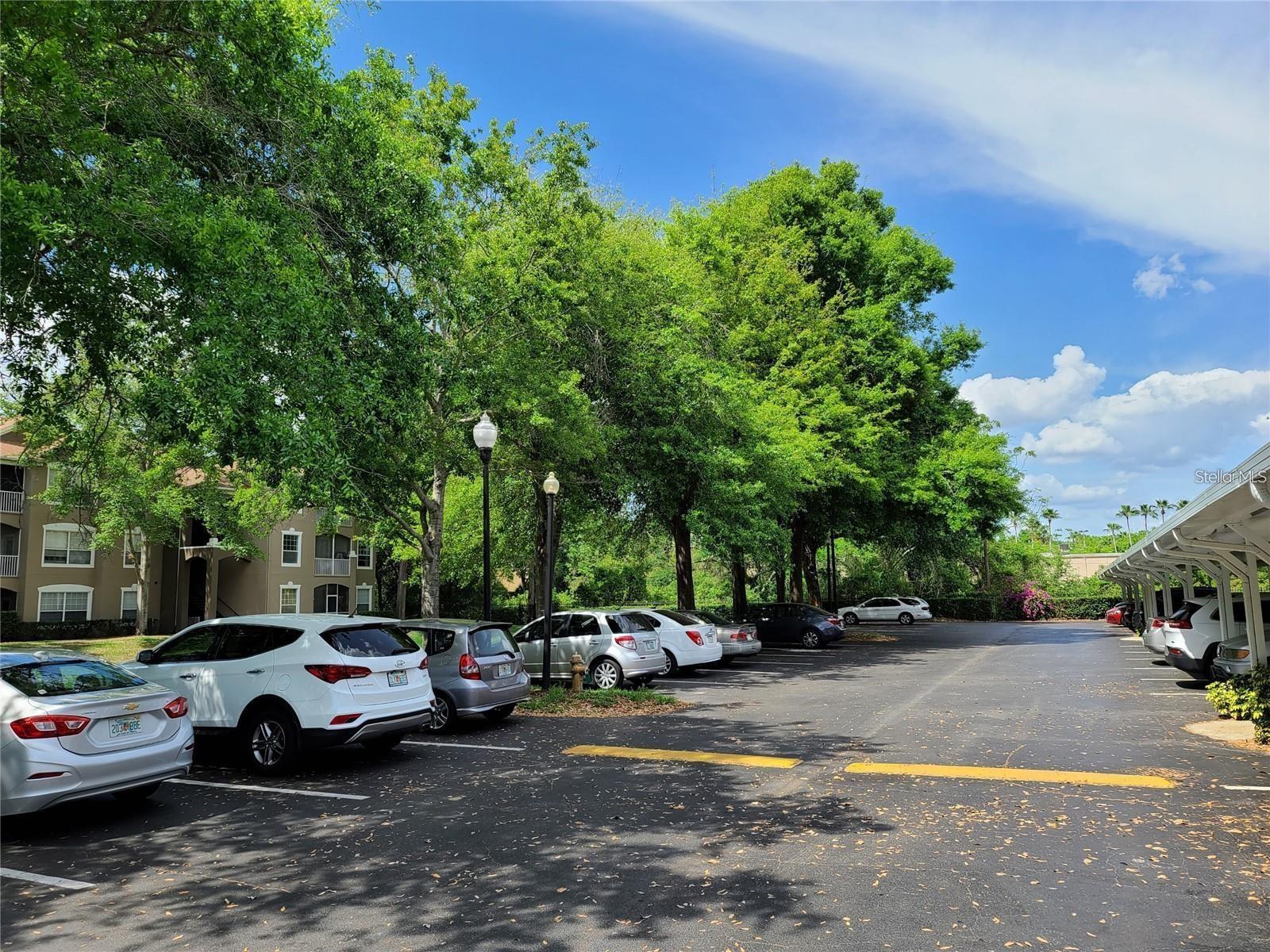 7123 YACHT BASIN AVE #3, ORLANDO, FL, 32835