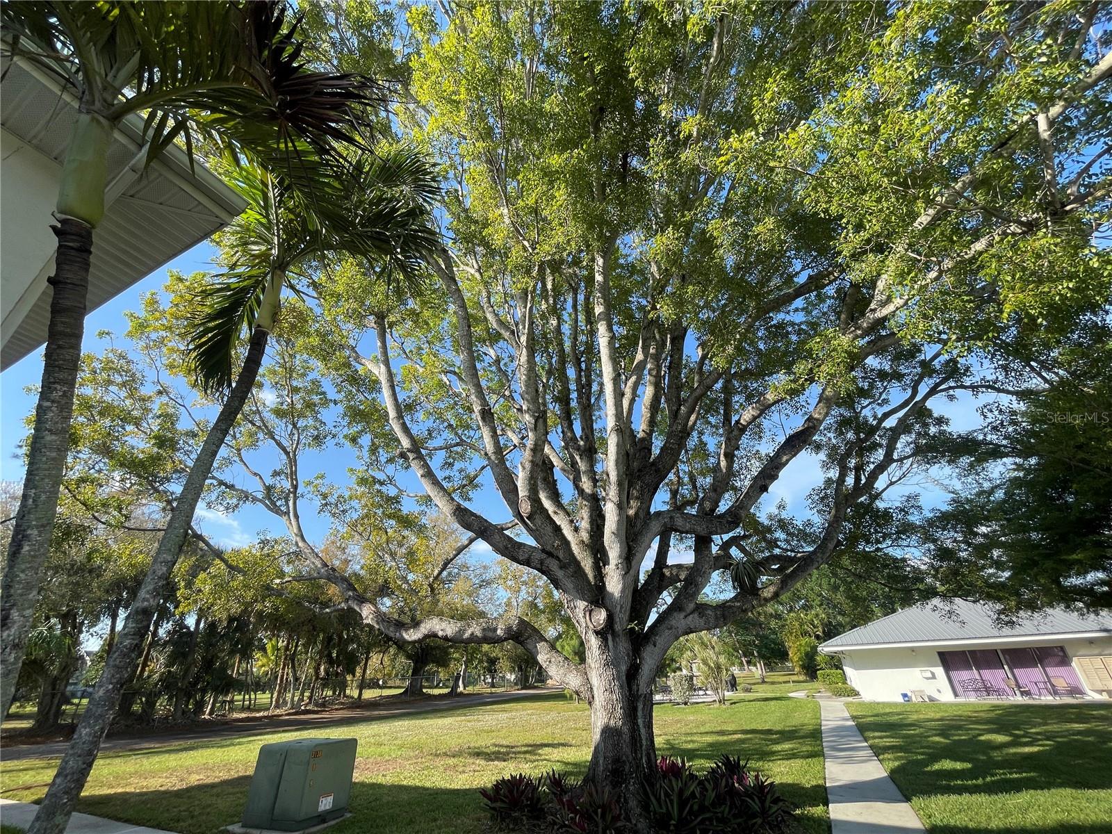431 VAN BUREN ST #E7, FORT MYERS, FL, 33916