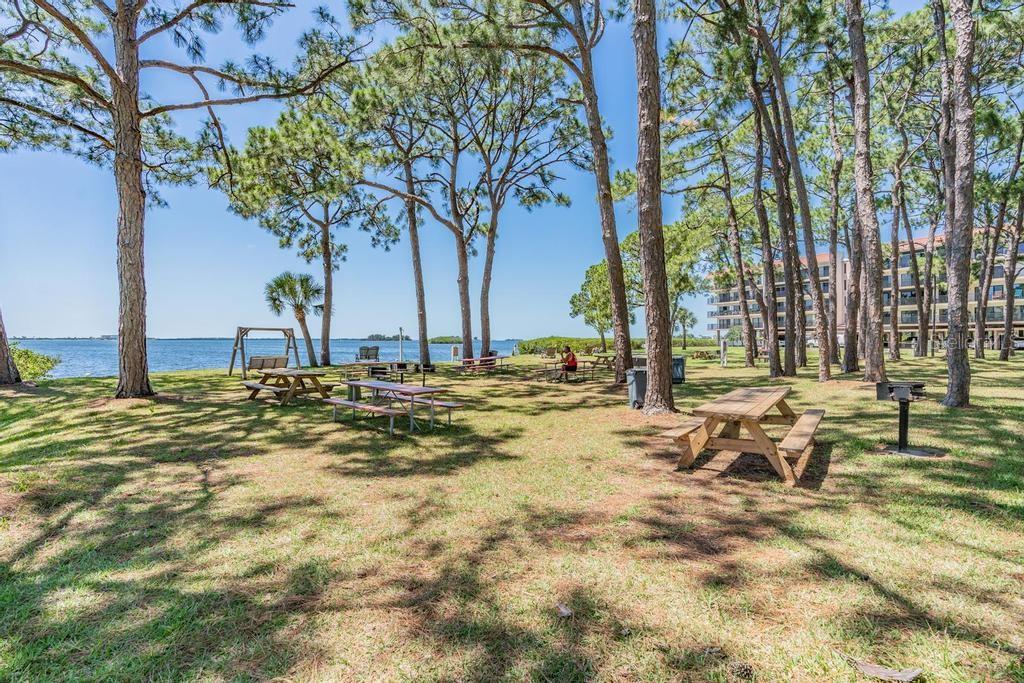 2700 BAYSHORE BLVD #11301, DUNEDIN, FL, 34698