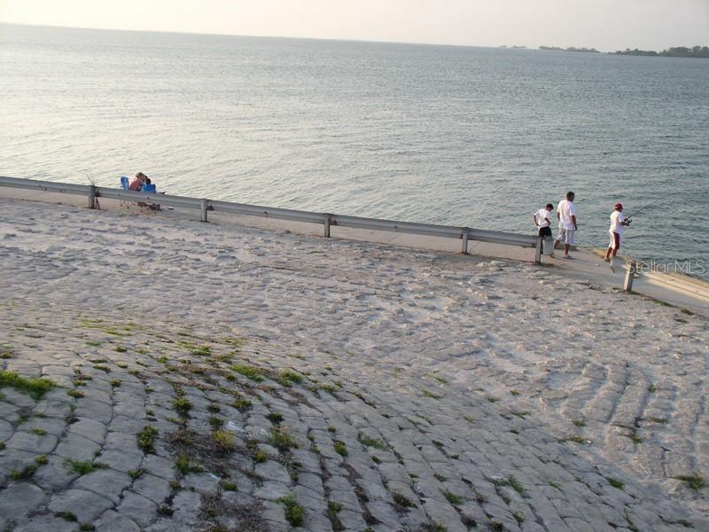 2700 BAYSHORE BLVD #11301, DUNEDIN, FL, 34698