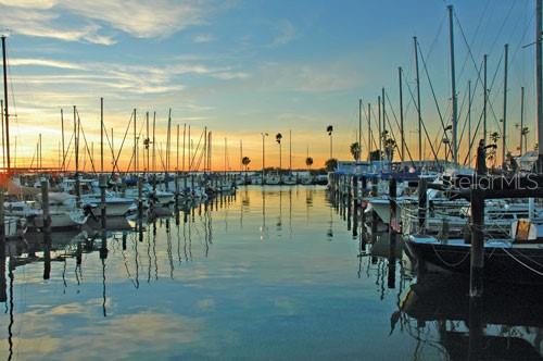 2700 BAYSHORE BLVD #11301, DUNEDIN, FL, 34698