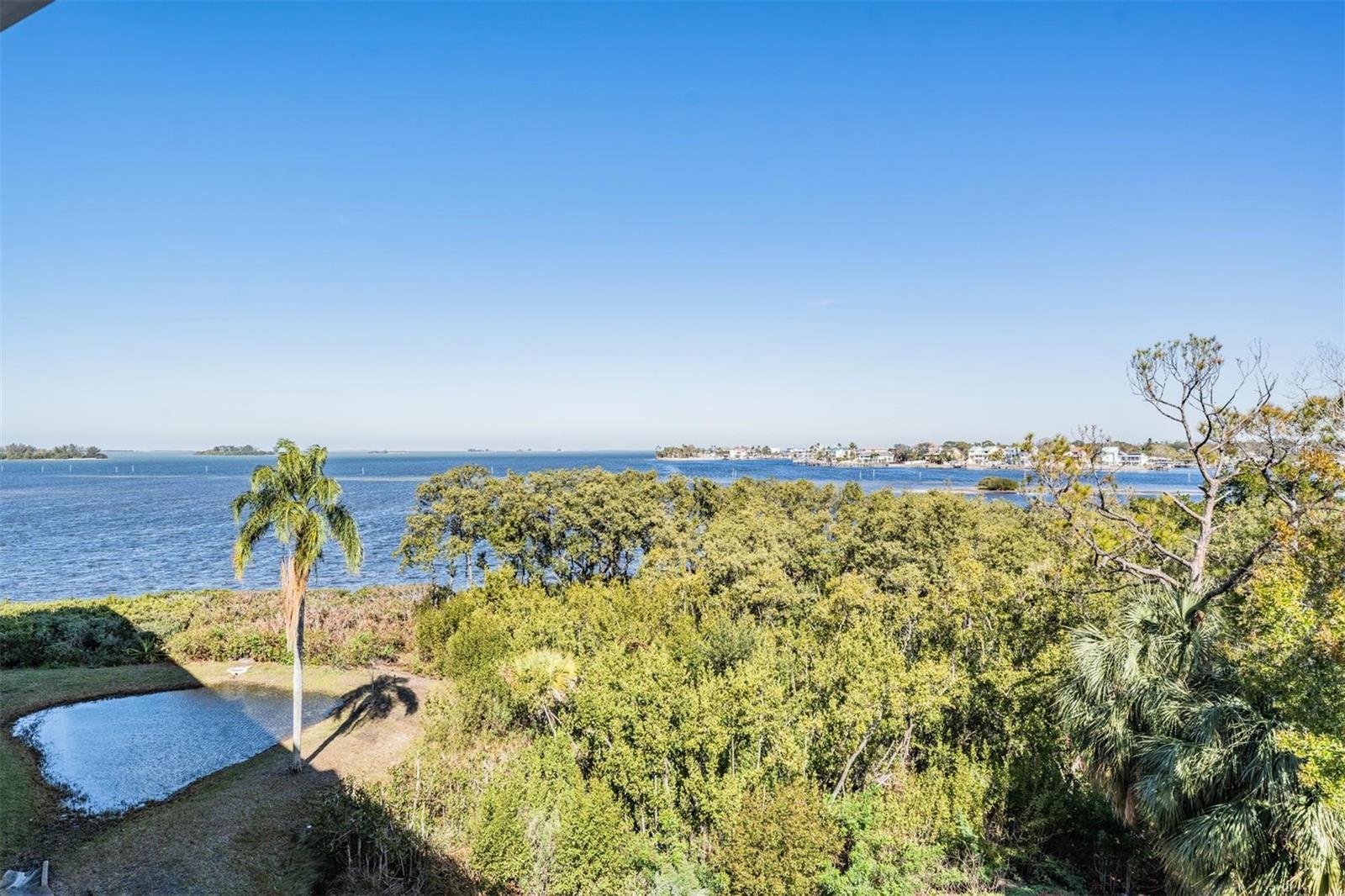 2700 BAYSHORE BLVD #11301, DUNEDIN, FL, 34698